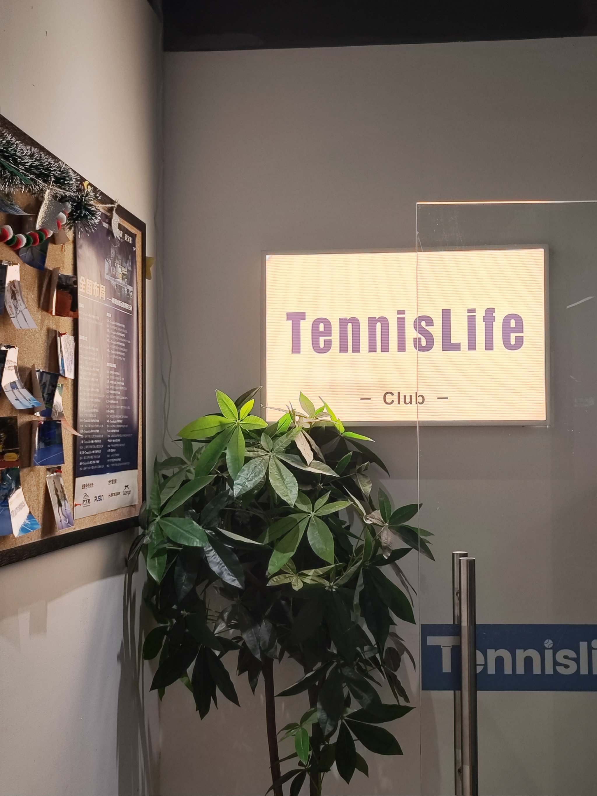 开云中国-&quot;周末狂欢：家庭参与的趣味网球活动&quot;的简单介绍