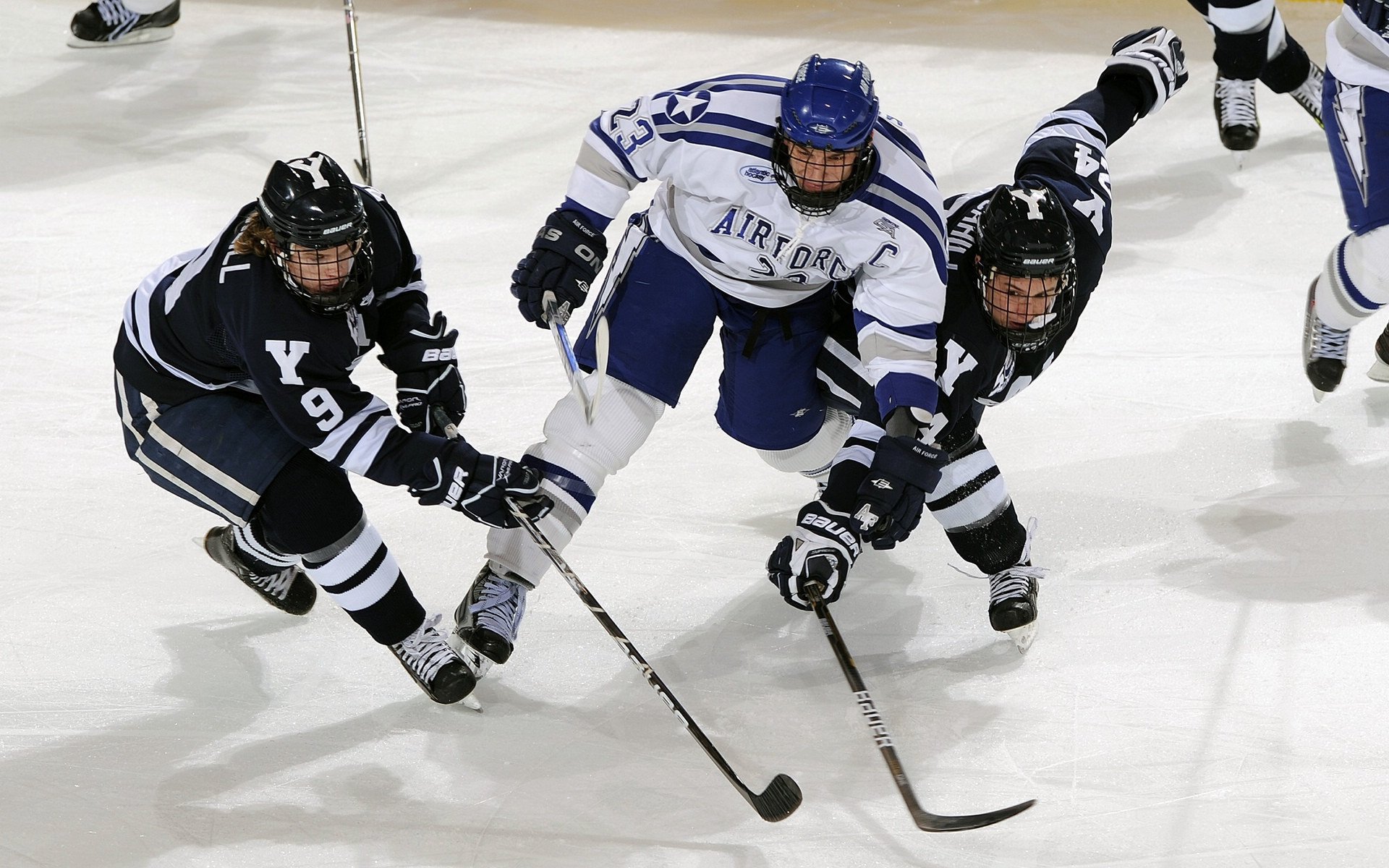 KAIYUN 中国大陆-广东宏远 年轻球员展现潜力，广东宏远球员介绍